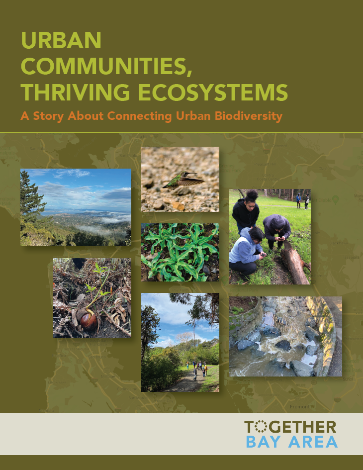 Cover page of the Connecting Urban Biodiversity report