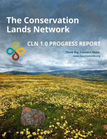 Urban Communities, Thriving Ecosystems report cover